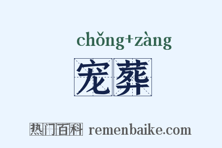 宠葬是什么意思的图片